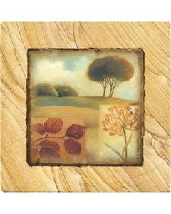 Down to Earth Coaster Set - Naturals Collection