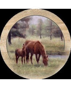 Mare & Foal Coaster Set