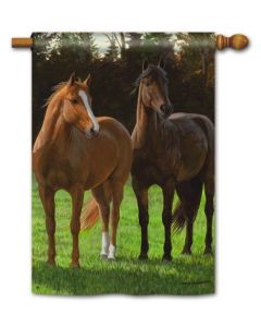 What's Up Standard Flag