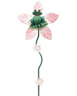 Lady Frog Spinwheel-Clearance